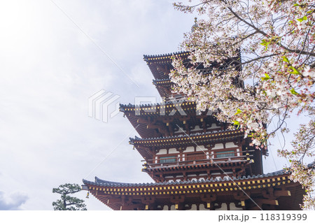 奈良 薬師寺 西塔と桜 奈良 薬師寺 西塔と桜 118319399