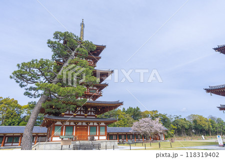 奈良　薬師寺　西塔と桜 118319402