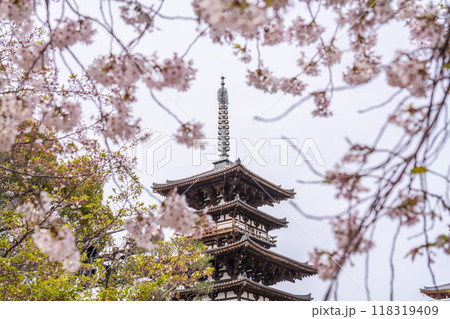 奈良 薬師寺 東塔と桜 奈良 薬師寺 東塔と桜 118319409