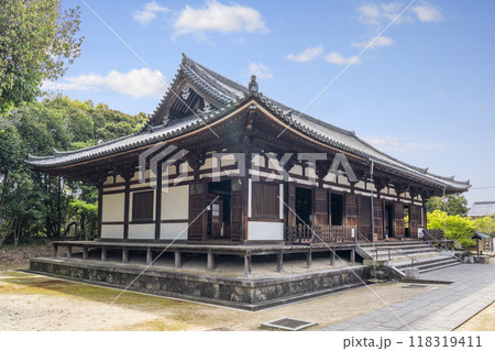 薬師寺 東院堂 薬師寺 東院堂 118319411