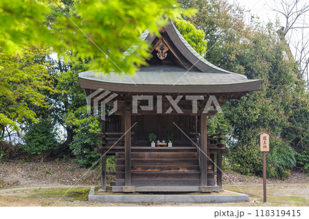 薬師寺　青紅葉と龍王社 118319415
