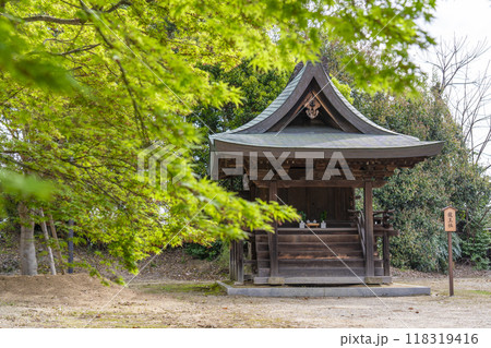 薬師寺　青紅葉と龍王社 118319416