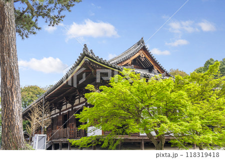 薬師寺 東院堂 薬師寺 東院堂 118319418