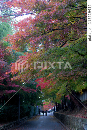 Early autumn in Kyoto / 小さい秋を感じる，早朝の京都の風景(京都伏見エリア) 118319436