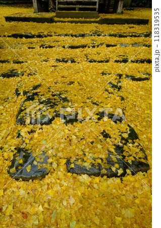 岩戸落葉神社の階段 118319535