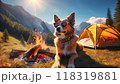 ソロキャンプで焚き火までするグラサン犬 ソロキャンプで焚き火までするグラサン犬 118319881