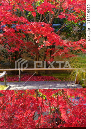 京都の興臨院の紅葉 京都の興臨院の紅葉 118319920