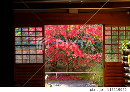京都の興臨院の紅葉 京都の興臨院の紅葉 118319921