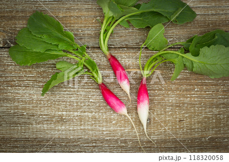 Top view to three long radishes (French breakfast variety) with green leaves laying on the center of brown wooden table. 118320058
