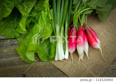 A bunch of freshly picked lettuce, radish and green onion are prepared for making salad on the burlap cloth on the wooden table. A bunch of freshly picked lettuce, radish and green onion are prepared for making salad on the burlap cloth on the wooden table. 118320060