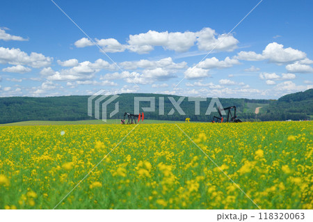 Beautiful rural landscape of blooming yellow canola field and pumpjacks on oil wells, hills with forests and blue sky with clouds on the background. 118320063