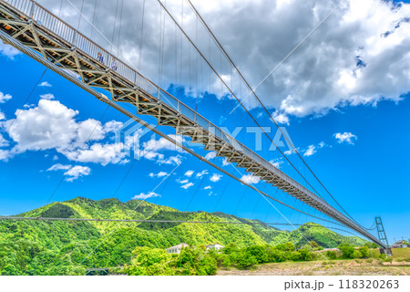 春の宮ヶ瀬湖畔園地 　吊り橋と青空 118320263