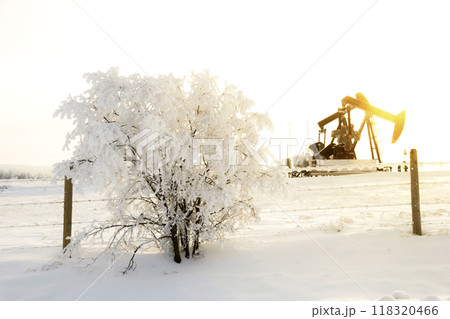 Pump jack in the sunrise light and the bush in snow in the oilfield. Pump jack in the sunrise light and the bush in snow in the oilfield. 118320466