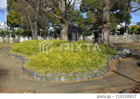 平塚の塚 平塚の塚 118320657