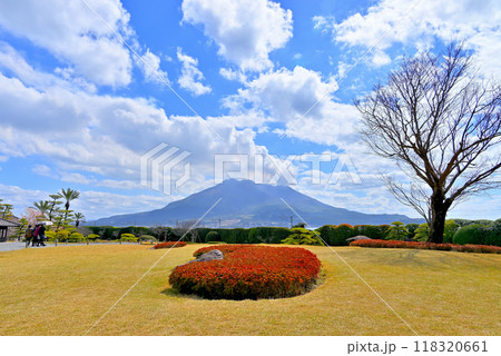 桜島を借景に島津家の別邸 仙巌園 桜島を借景に島津家の別邸 仙巌園 118320661
