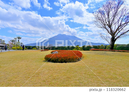 桜島を借景に島津家の別邸 仙巌園 桜島を借景に島津家の別邸 仙巌園 118320662