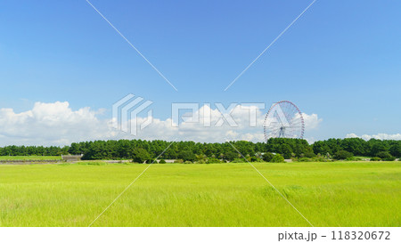 【東京都江戸川区】葛西海浜公園(西なぎさ)・海風の広場から見る葛西臨海公園の大観覧車 118320672