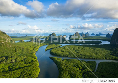 Amazing abundant mangrove forest, Aerial view of forest trees Rainforest ecosystem and healthy environment background, Texture of green trees forest top down, High angle view 118321093