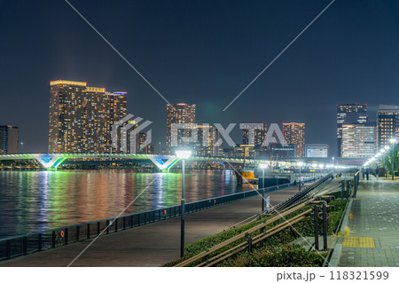 【夜景素材】豊洲ぐるり公園から見る東京の夜景【東京都】 118321599