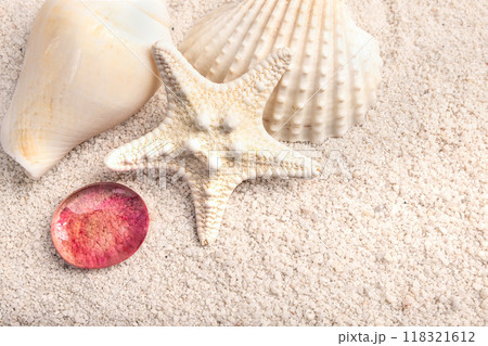 Composition with star fish, red pebbles and shells on the sand. 118321612