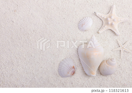 Border with star fish and seashells on white ocean sand. Border with star fish and seashells on white ocean sand. 118321613