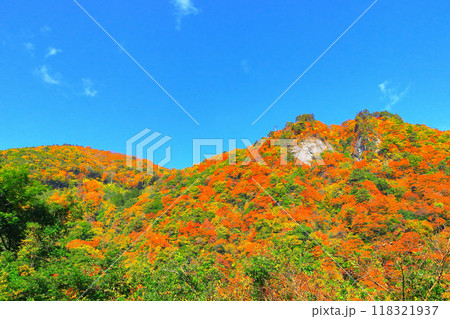 鮮やかな紅葉の鳴子郷 鮮やかな紅葉の鳴子郷 118321937