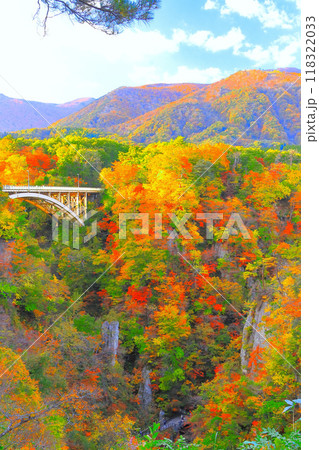 鮮やかな紅葉の鳴子郷 鮮やかな紅葉の鳴子郷 118322033