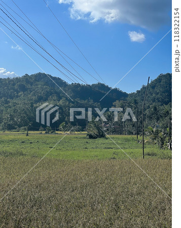 Panoramic view of jungles, Philippines 118322154