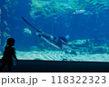 水族館のホシエイと少女のシルエット 118322323