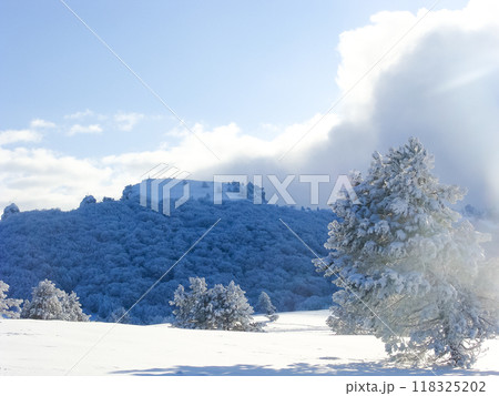 Winter landscape on the top of the mountain. Trees in the snow. Nature background. North Pole 118325202