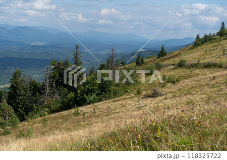 Mountains ranges in the Carpathians. Hills, forest and meadows 118325722