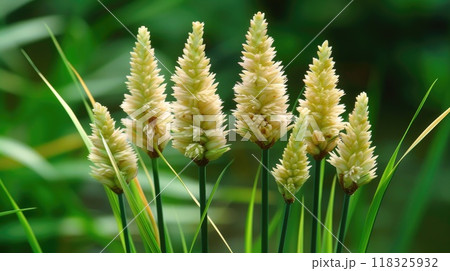 Ryegrass flowers. Generative AI 118325932