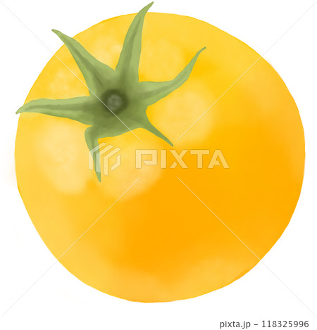 yellow tomatoes isolated on the white background yellow tomatoes isolated on the white background 118325996