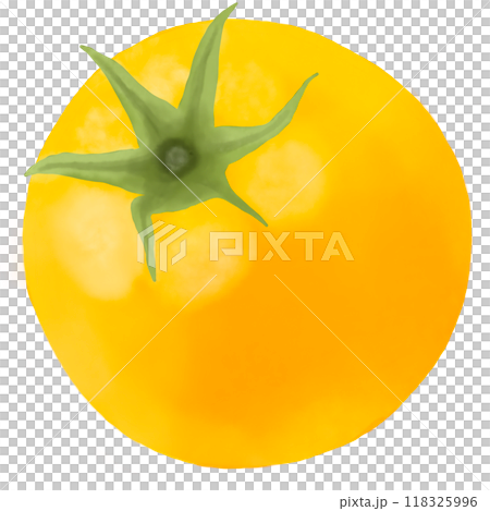 yellow tomatoes isolated on the white background yellow tomatoes isolated on the white background 118325996