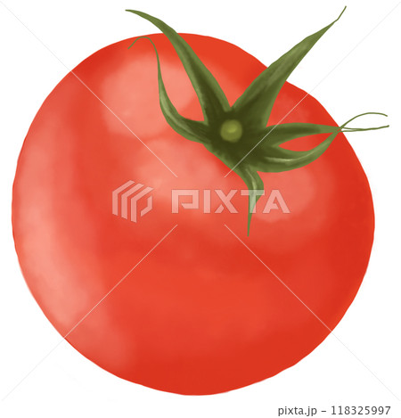 red tomatoes isolated on white clipping path 118325997
