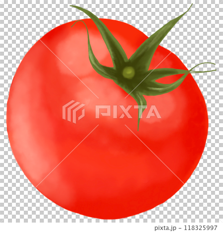 red tomatoes isolated on white clipping path 118325997