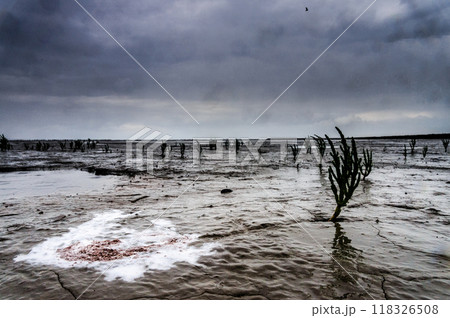 The Noarderleech area in Friesland, on a stormy day. 118326508