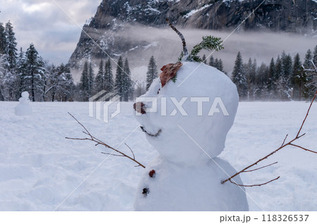 Snowman in Yosemite Snowman in Yosemite 118326537