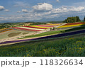 色彩の丘 118326634