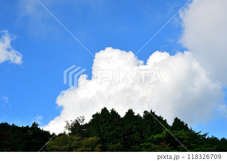 青空と白い雲 118326709