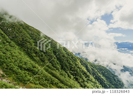 中央アルプス駒ヶ岳ロープウェイから見る斜面／長野県駒ヶ根市 118326843