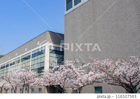 大分県立図書館と桜 118327503