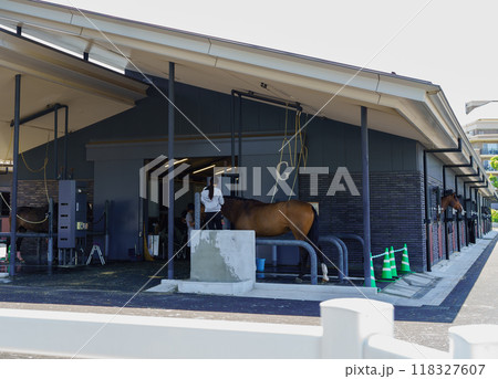 厩舎での馬の世話 118327607