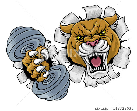 Cougar Panther Lion Puma Weight Lifting Gym Mascot 118328036