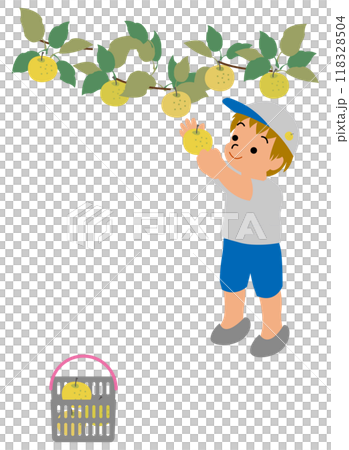 梨狩りの体験をする子どものイラスト02 118328504