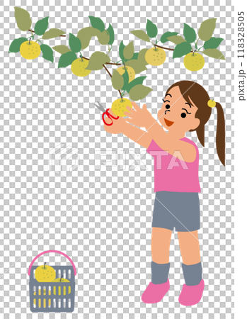 孩子體驗摘梨的插畫03 孩子體驗摘梨的插畫03 118328505