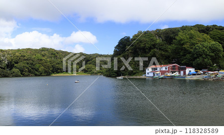 船が停泊する港 118328589