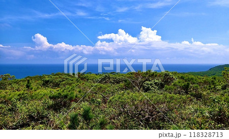 沖縄県慶良間諸島の見花原遊歩道から見える海の風景 118328713