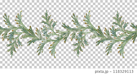 Juniper thuja evergreen conifer branches with cones. Watercolor hand drawn illustration, seamless banner isolated on white. Xmas, happy new year festive, noel navidad holiday. Cards, gifts, wedding. Juniper thuja evergreen conifer branches with cones. Watercolor hand drawn illustration, seamless banner isolated on white. Xmas, happy new year festive, noel navidad holiday. Cards, gifts, wedding. 118329113