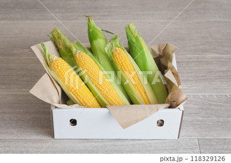 とうもろこし　ふるさと納税　返礼品 118329126